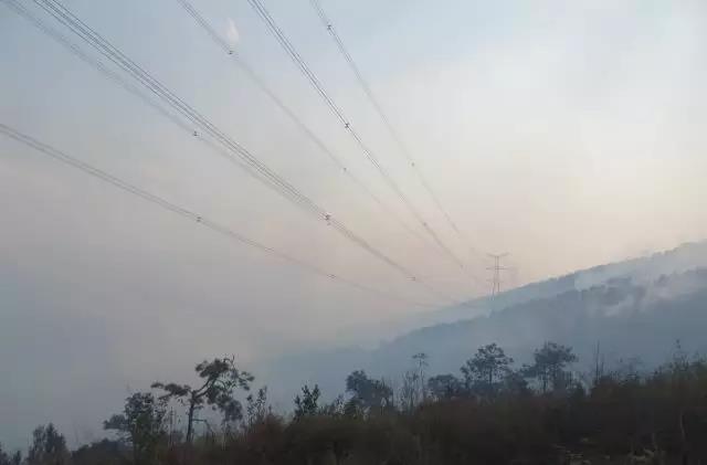 聽說最近輸電線路和鐵塔“火”啦！