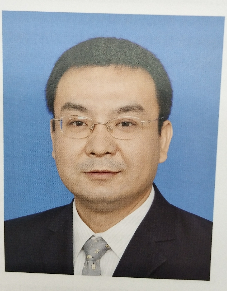 系統(tǒng)靈活性:電力發(fā)展大趨勢——訪電力規(guī)劃設(shè)計(jì)總院規(guī)劃研究部副主任韓小琪