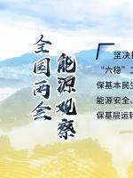 讀圖｜2020政府工作報告中這些內(nèi)容，和能源電力有關(guān)！