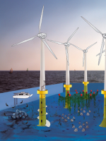 參考 | “海上風(fēng)電+海洋牧場” 精彩圖片分享！